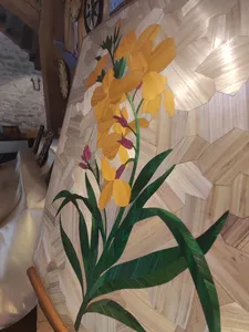 Herbier de lumière